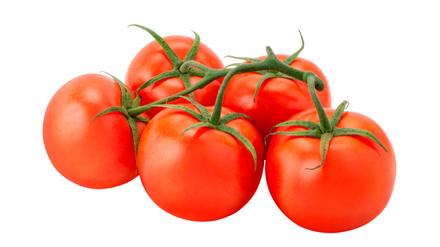 wanneer tomaten in seizoen eten?